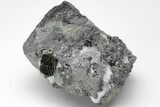 Octahedral Magnetite Crystal Cluster - Russia #209415-1